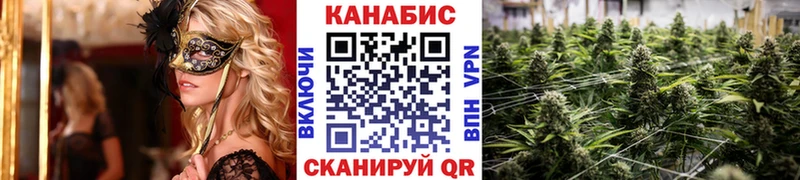 Канабис VHQ  даркнет сайт  Иланский 